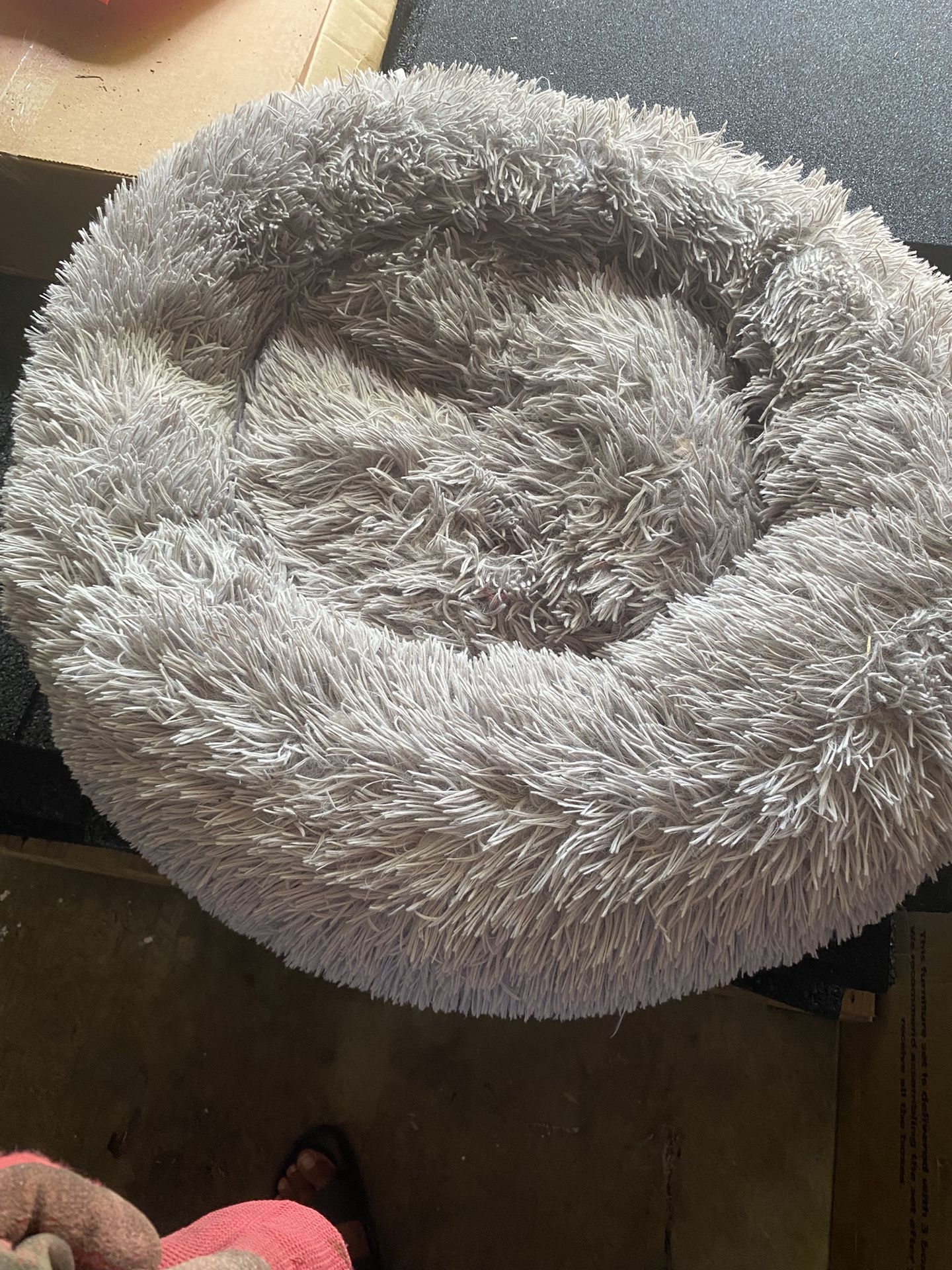 Dog Bed