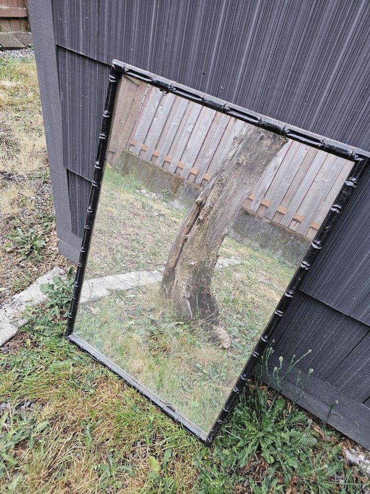 Large Mirror With Black Trim