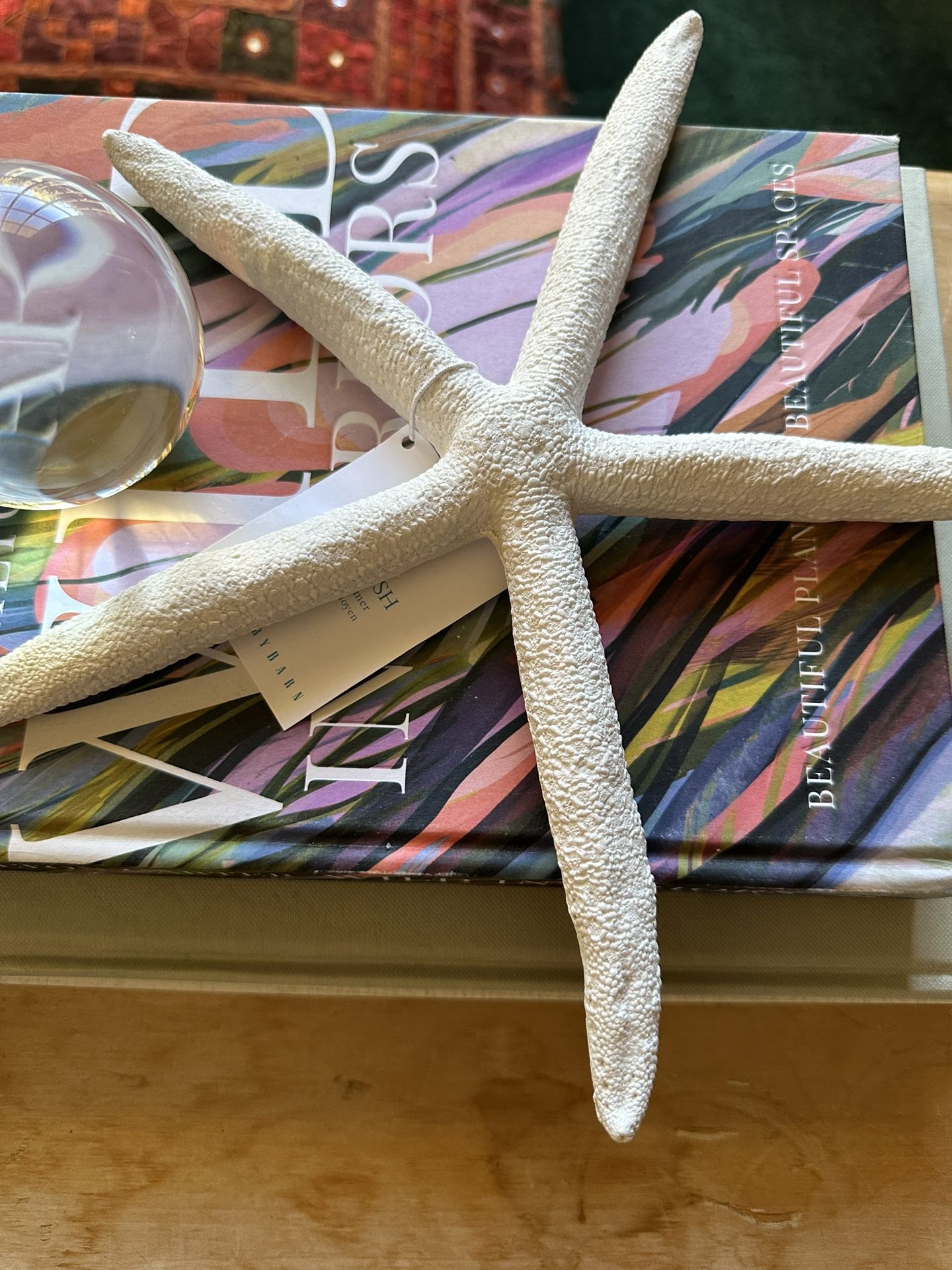 Pottery Barn White Starfish Decor
