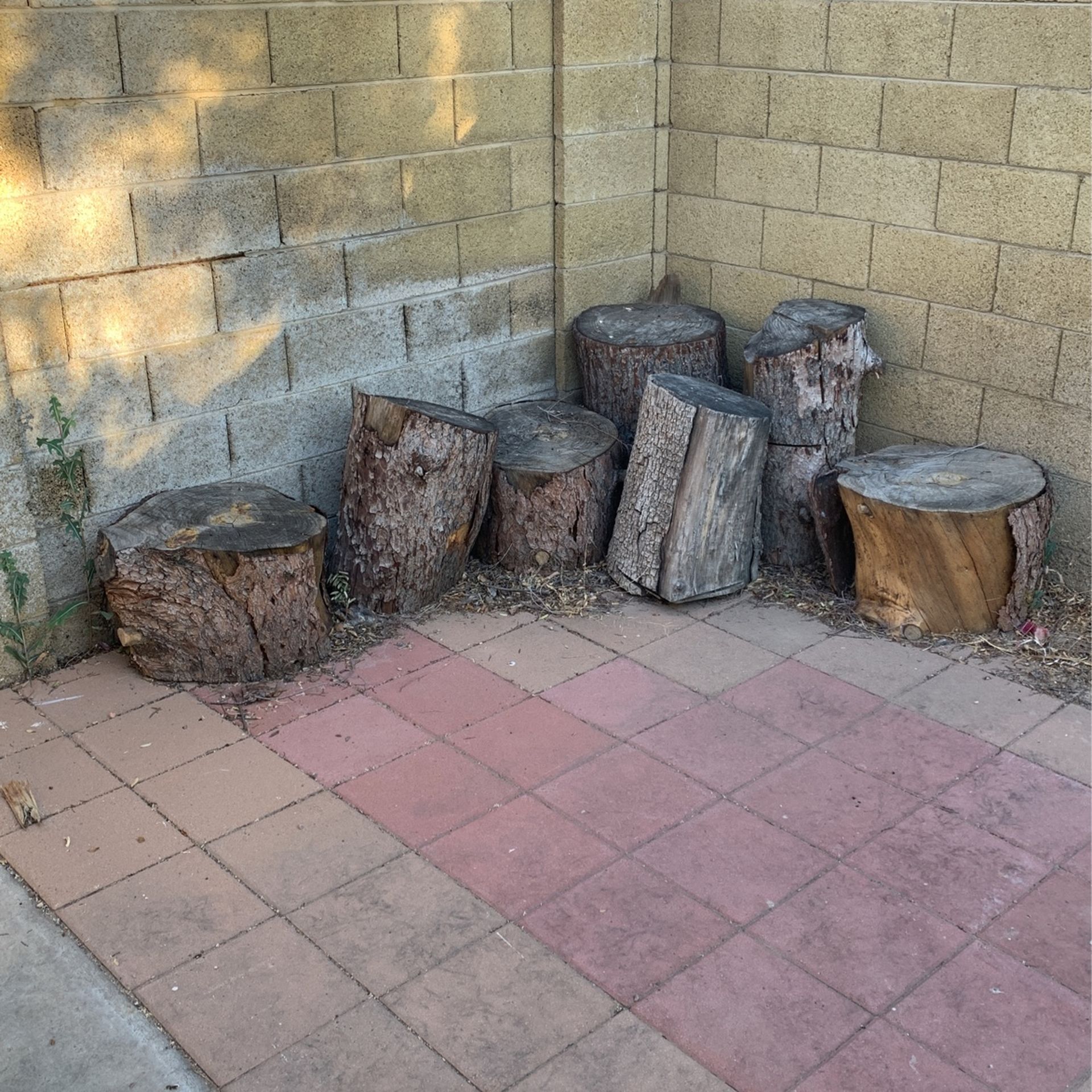 Free Tree Stumps