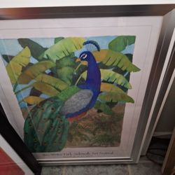 Winter Park Art Festival,  2005, Peacock Framed 