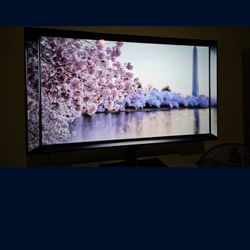 LG G1 OLED EVO 55 Inch