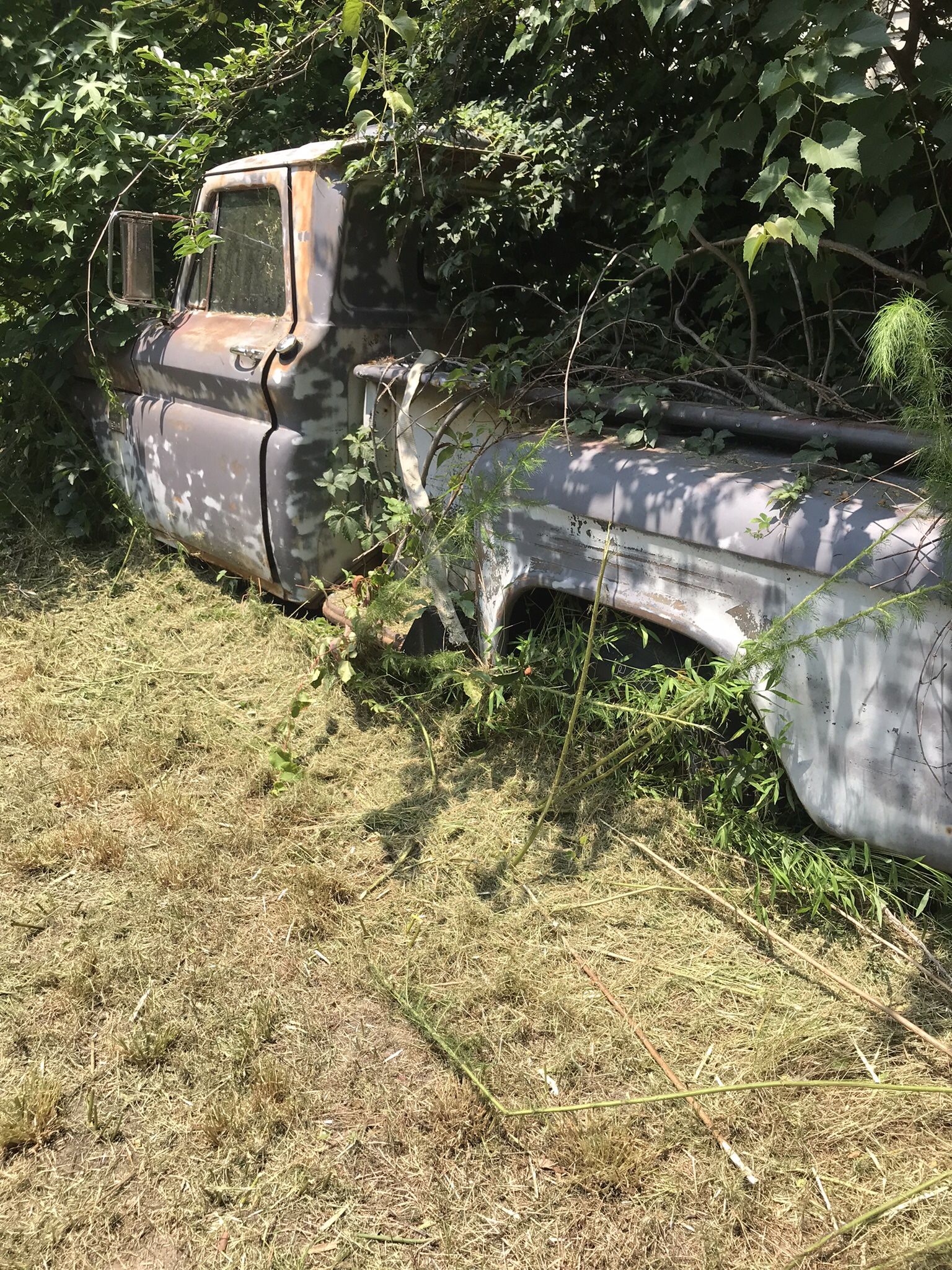 65 Chevy Truck