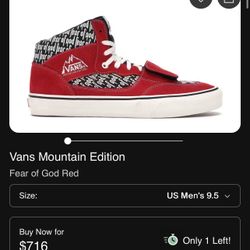 Limited Vans Mountain Edition