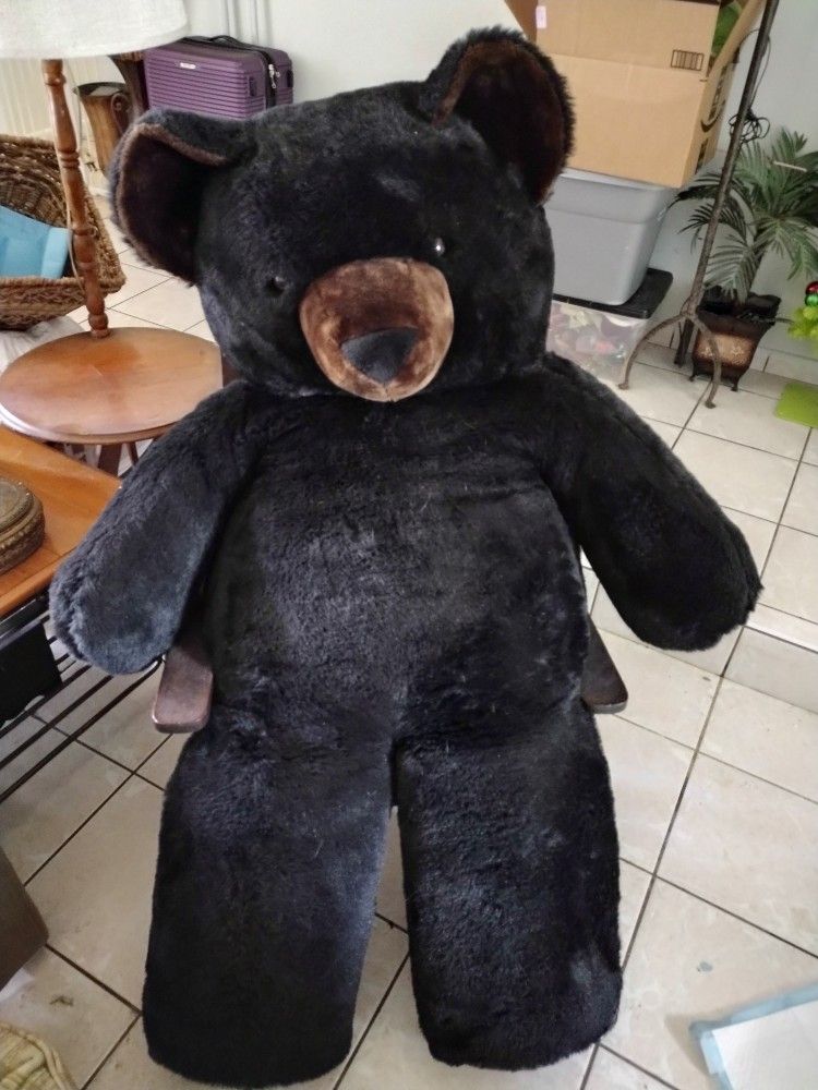 Big Teddy Bear