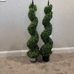 Boxwood Spiral Topiary From Hobby Lobby 