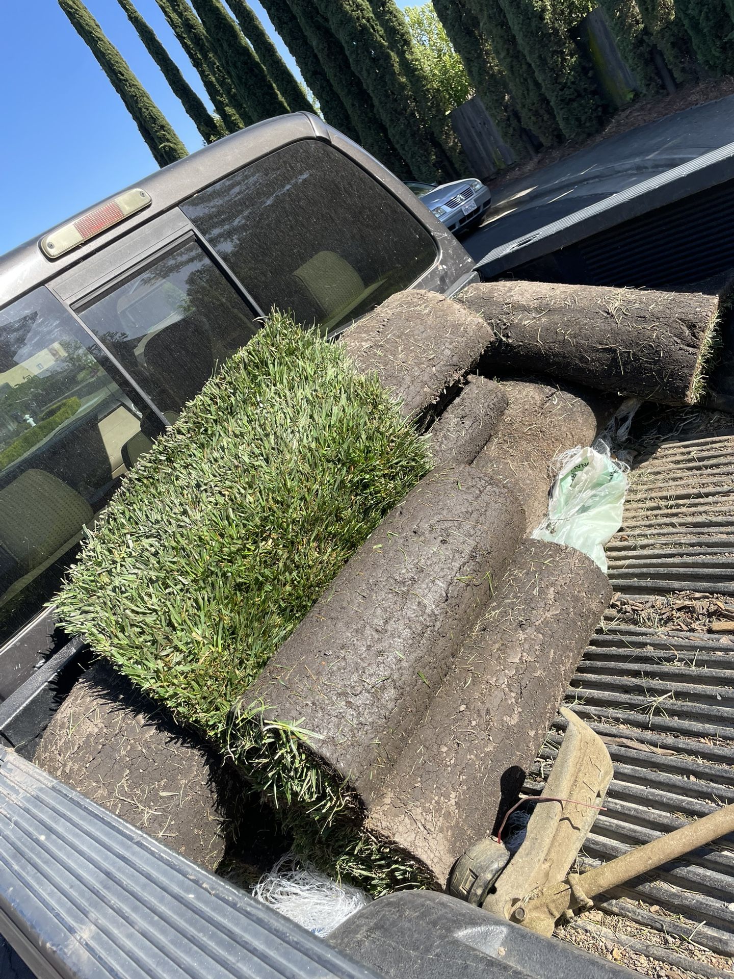 !SOD! 9 FRESH Rolls Of Sod. Pick Up & Drop Off
