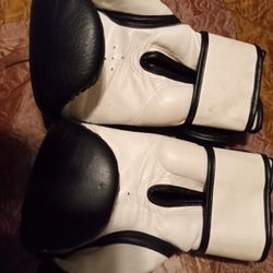 Gloves