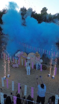 Dream reveal co