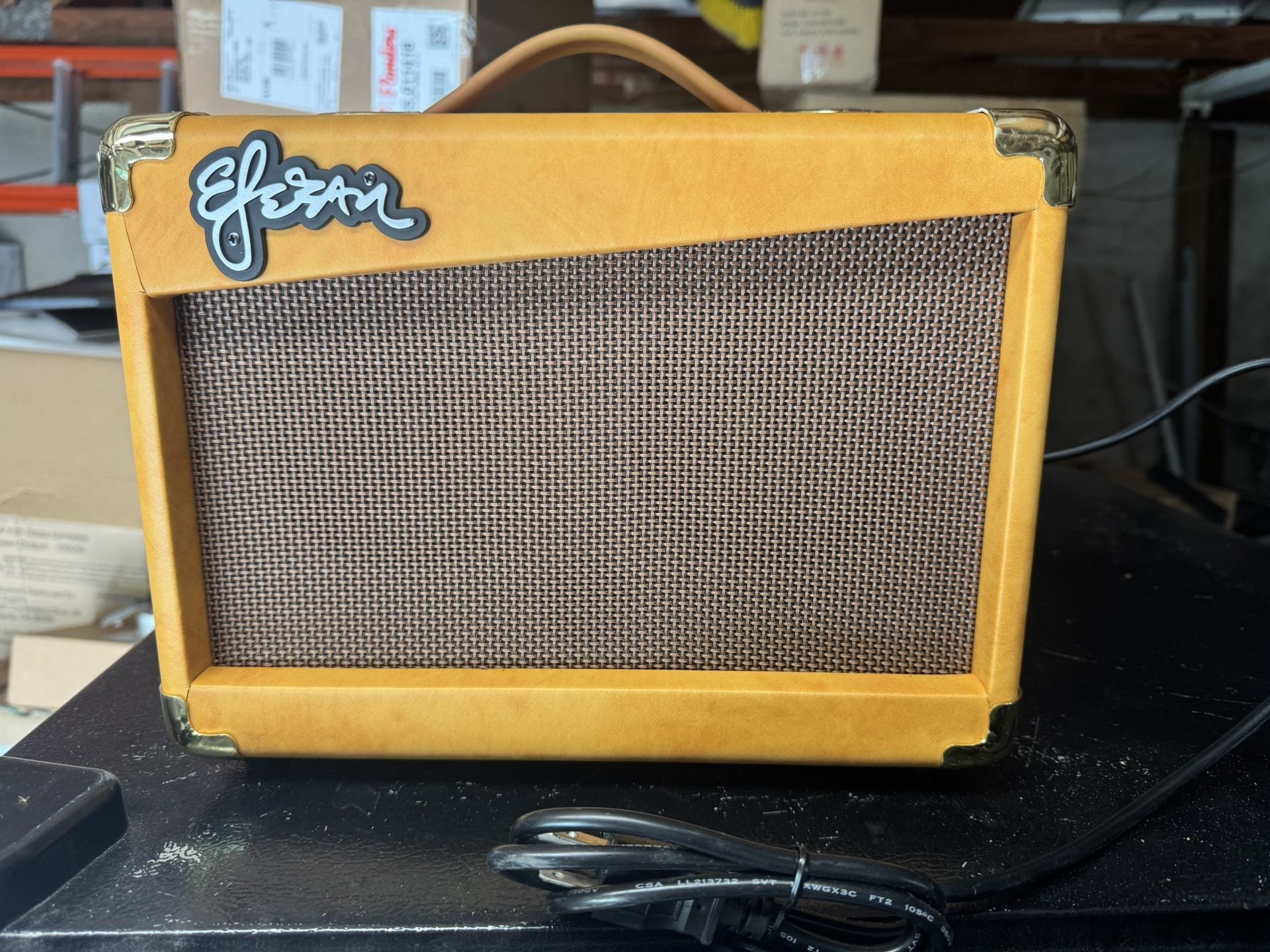 Esteban Acoustic Amplifier