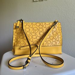 Calvin Klein Purse