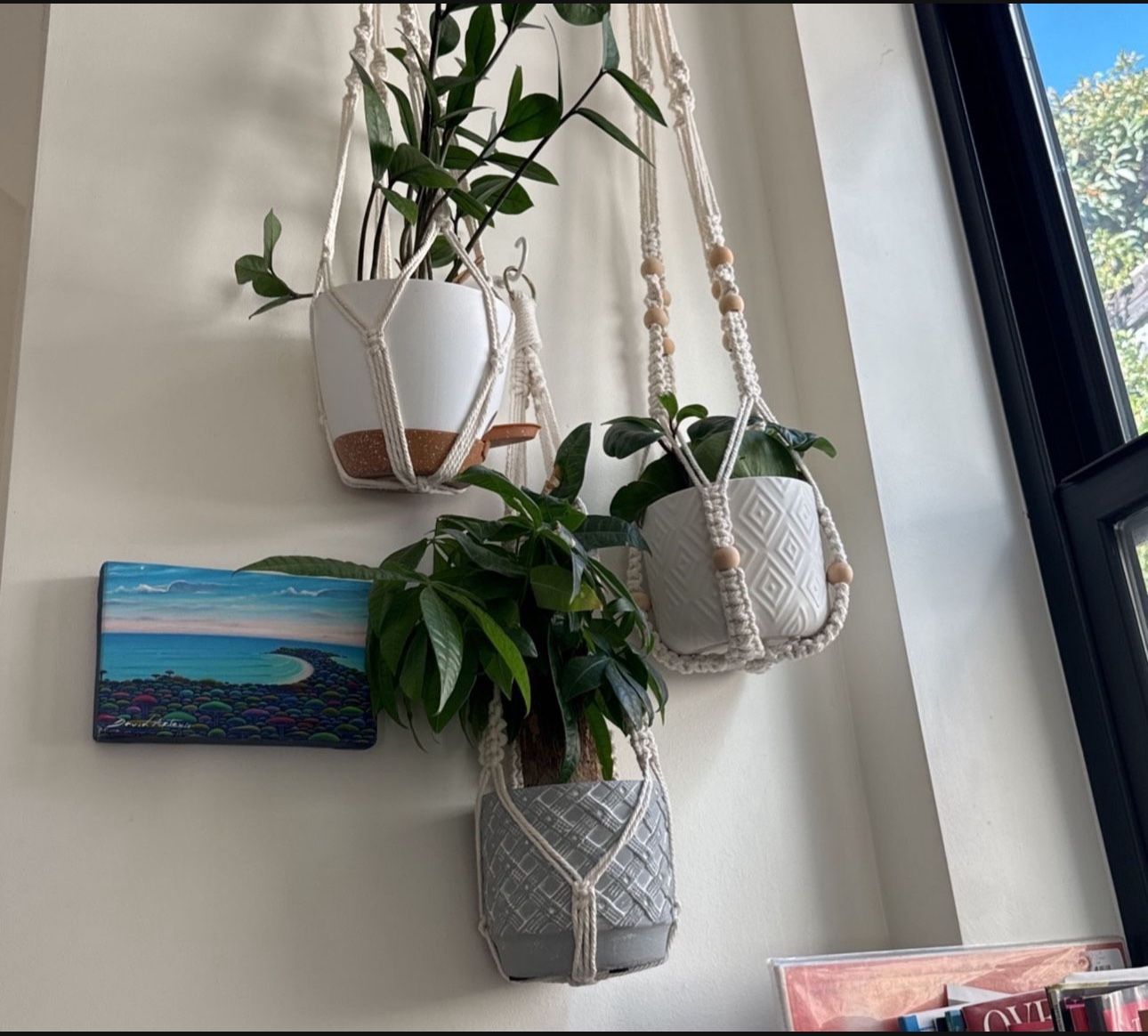 Three Hanging Plants