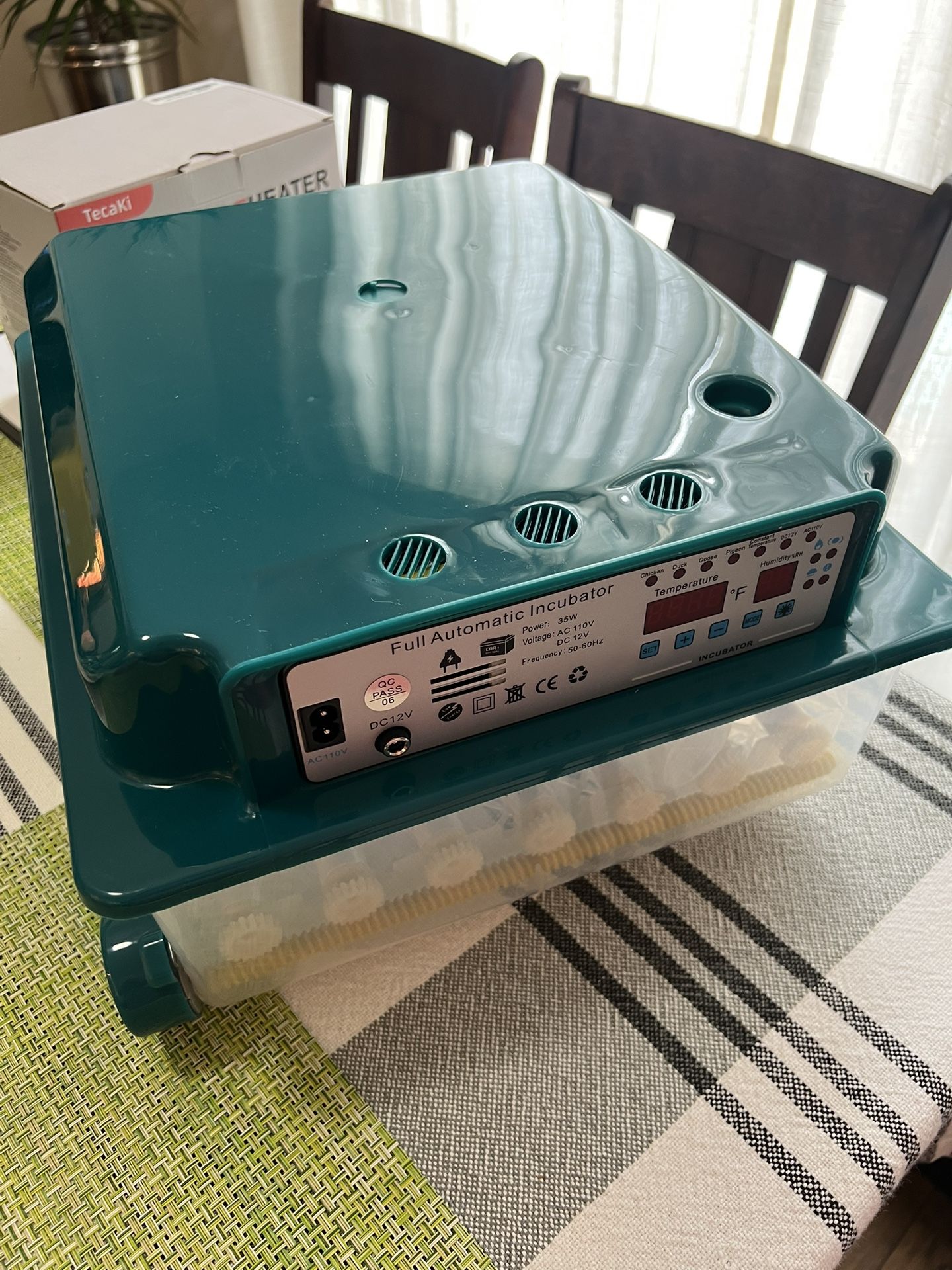 Incubator