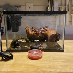 2.5 Gallon Fish Tank With Accessories & Food