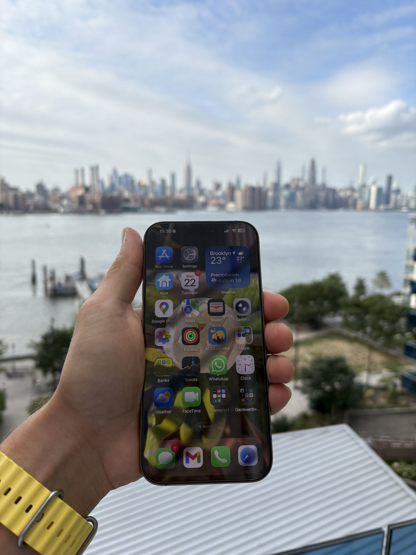 iPhone 16 Pro Max – 256GB – Like New – 100% Battery Health