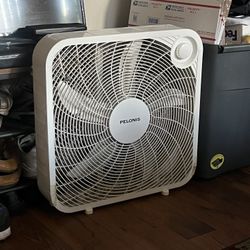 Pelonis Box Wall Fan Multi Speed High End. Also Have Vornado Fans/ Heaters