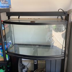 46 gallon bowfront tank with Stant And light fixture