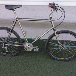 Vintage OG 1984 Specialized Stumpjumper w Deore XT - Size L/XL