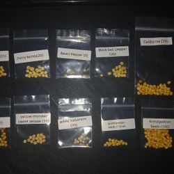 Super Hot Pepper Seeds (Rare)