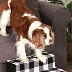 New Decorative 3 Step Pet Step