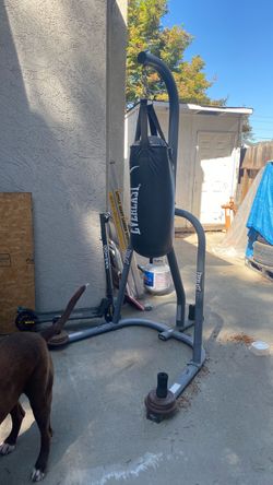 Punching bag
