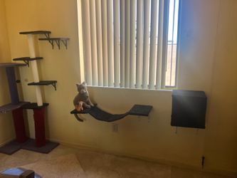 Wall mounted cat shelves