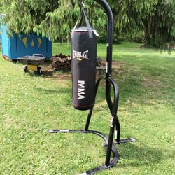 Everlast MMA 70lb Heavy Bag And Stand