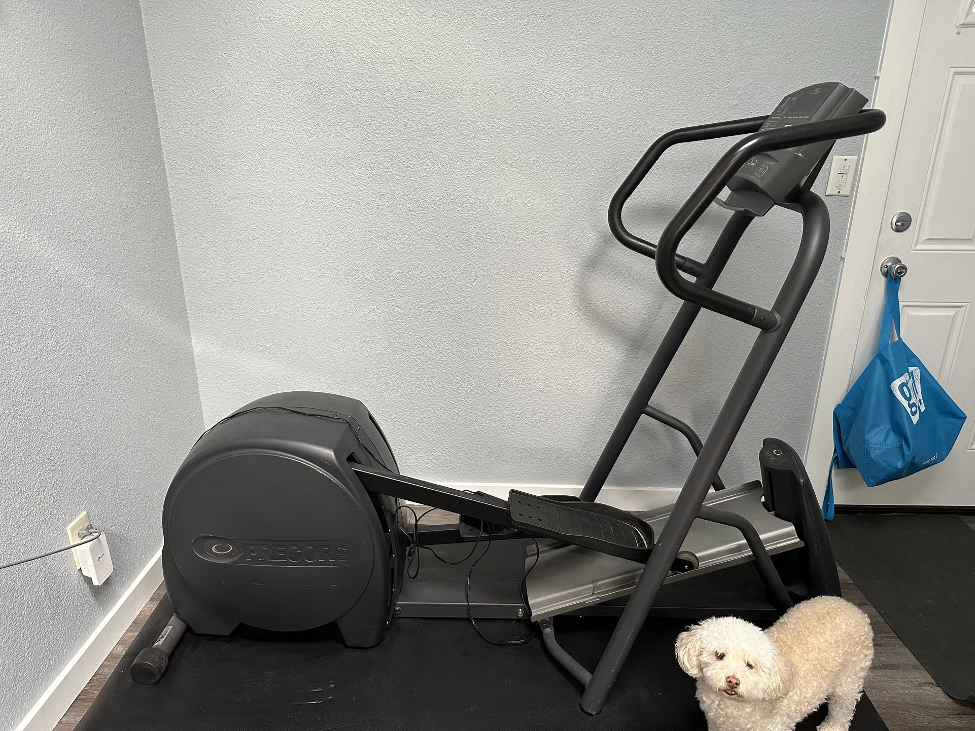Precor Elliptical EFX 5.17