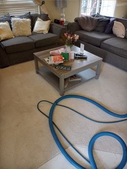 Carpet Or Furniture 