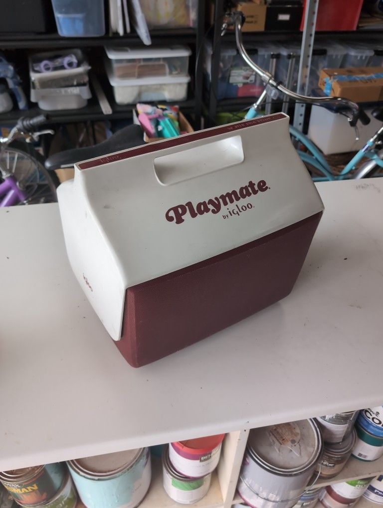 Igloo Flip Top Cooler