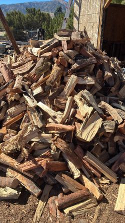 Firewood