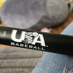 New Baseball Bat