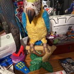 Talking Bird With Remote Control Looks New