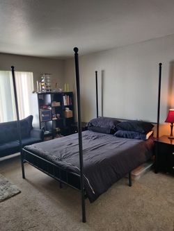 Canopy Bed, Velvet Loveseat, IKEA Kallax Shelf