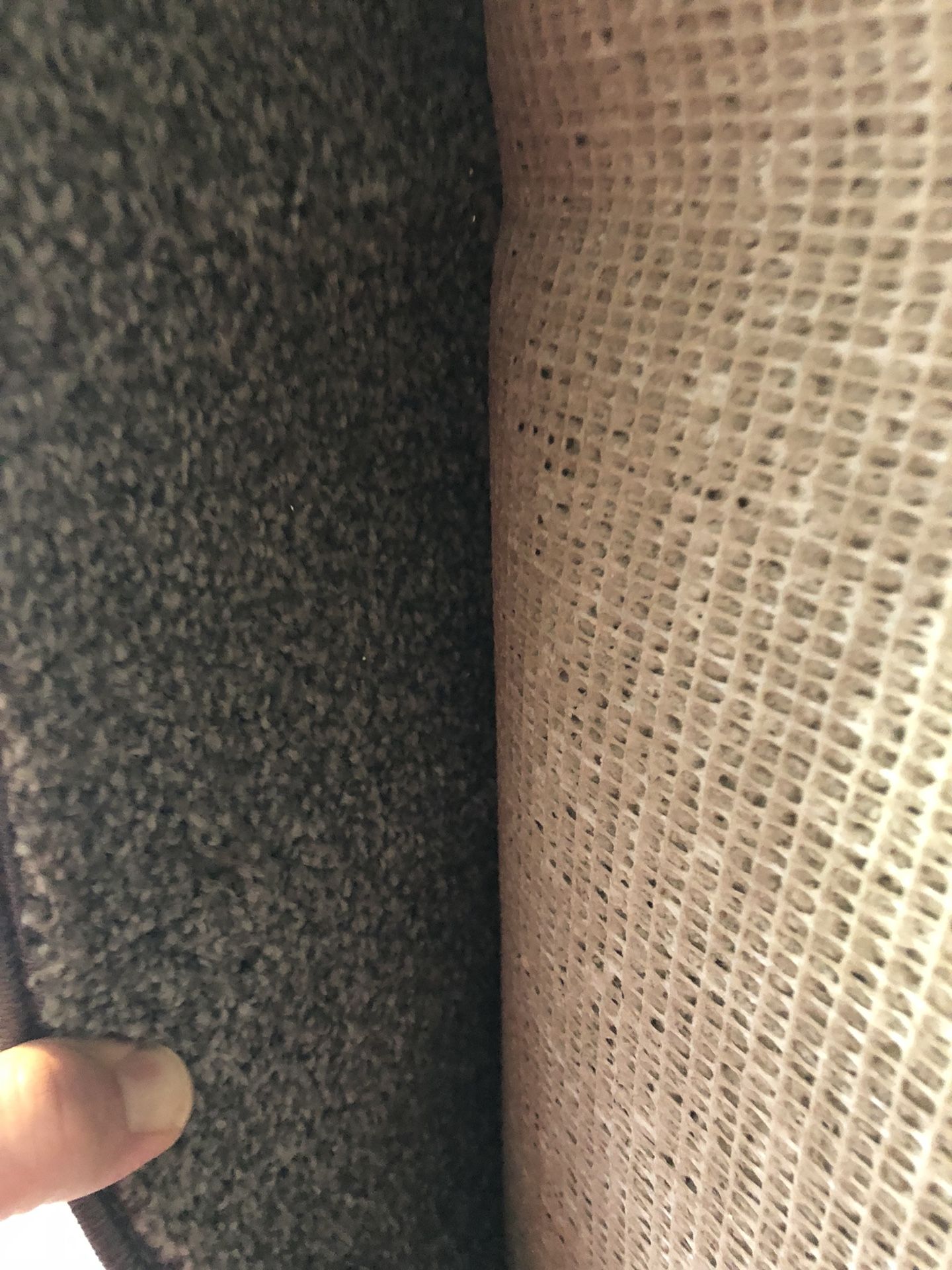 12’ rug/ carpet for toy hauler garage