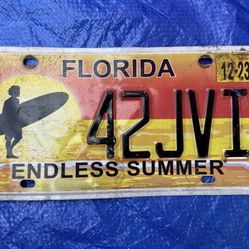 Endless Summer License Plate Florida