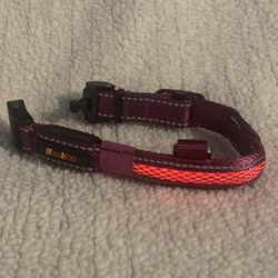 LED Dog Collar XS, Waterproof w/ Charging Cable