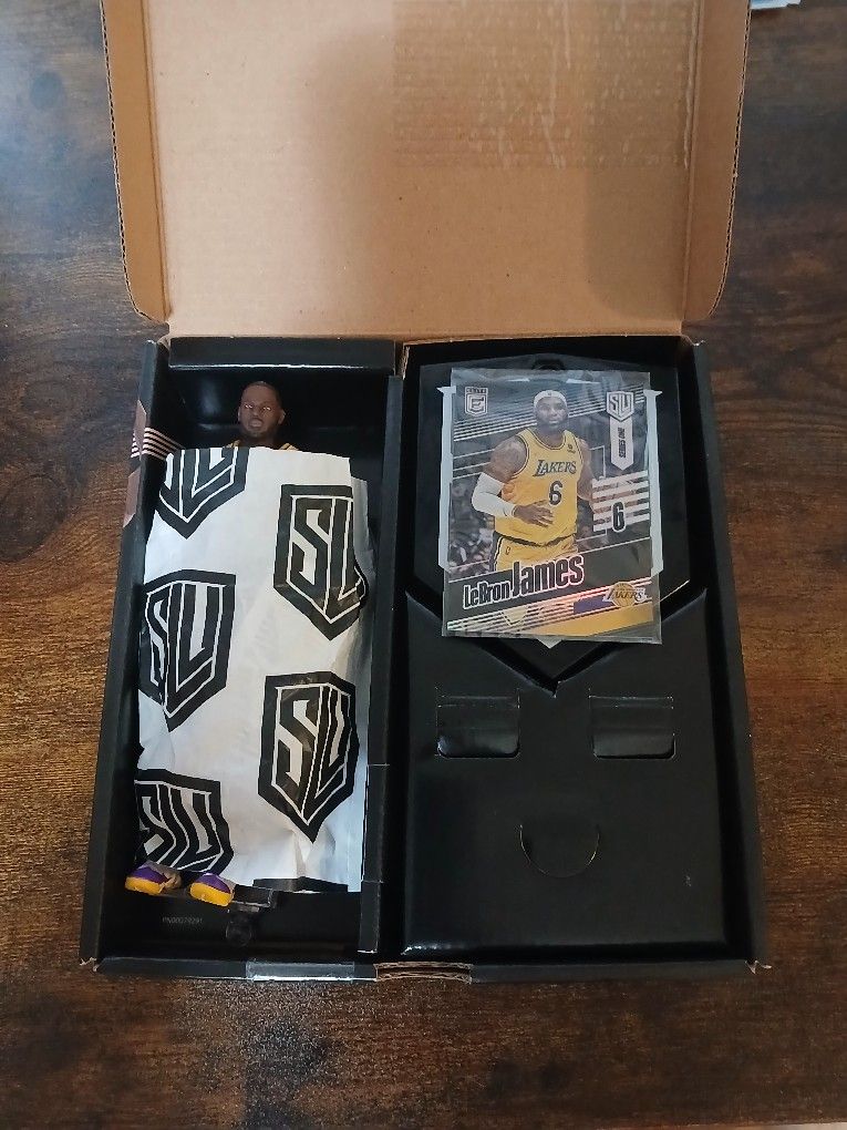 Every Thing Is In It It Has Hands For The Action Figure And It Has A LeBron James Card.