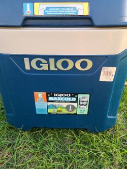 Igloo Cooler