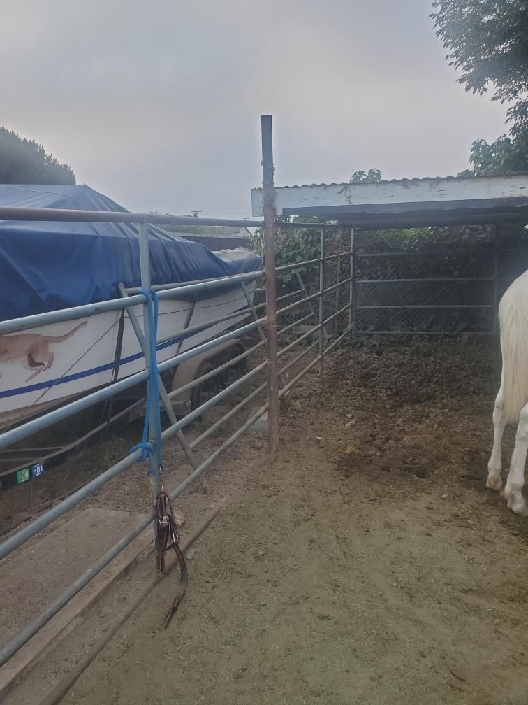 24 FT Panel Horse (5-Rail) $200 Each