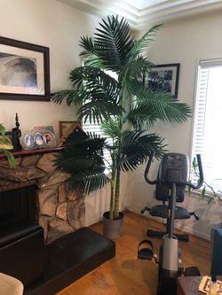 Artificial Golden Cane Palm