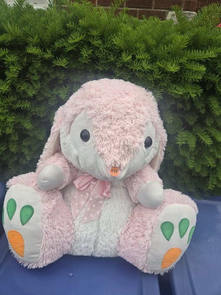 Bunny