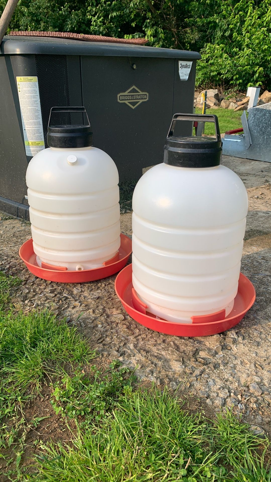5 Gallon Poultry Waterers