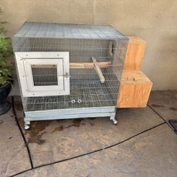 Bird Cage