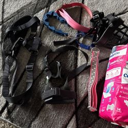 Dog Items 
