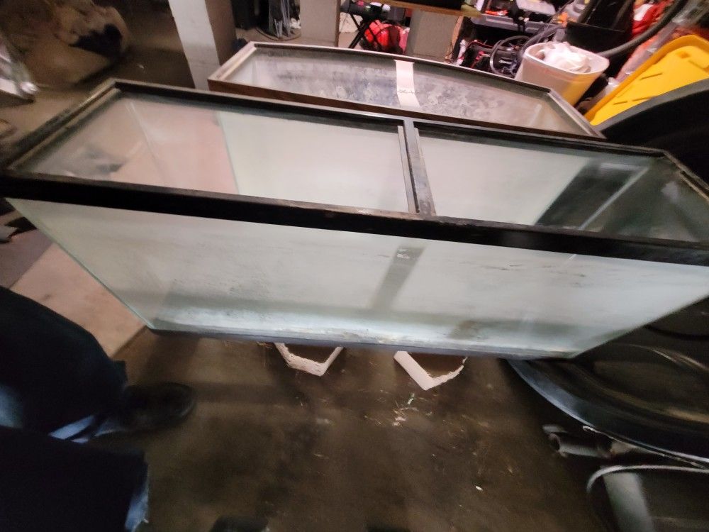 55 Gallon Long Fish Tank