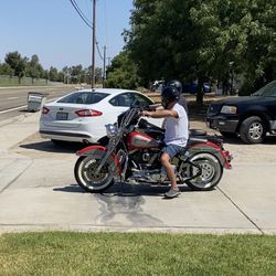 1995 Harley Davidson Softail
