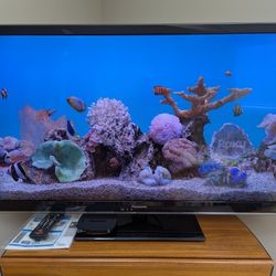 Panasonic 42 In. HDTV w/Roku Ultra Streaming 