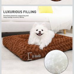 Dog Crate With Cover & Cushion