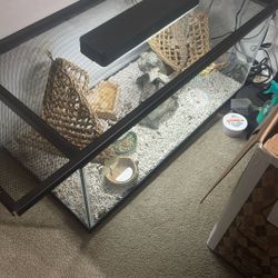 Terrarium Set With bearded Dragon